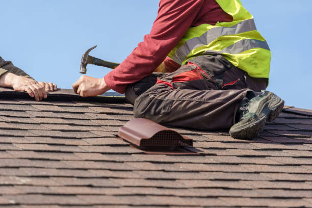 Best Roof Gutter Cleaning  in Ponderosa Park, CO