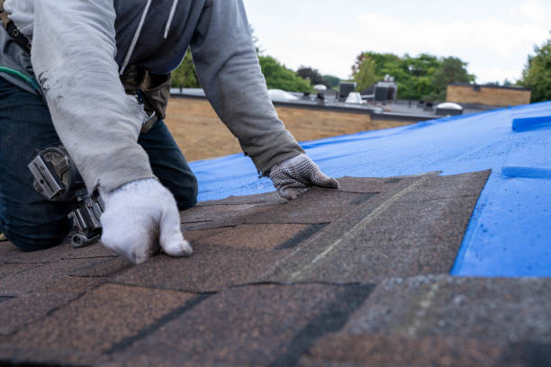 Trusted Ponderosa Park, CO Roofing Contractor Experts