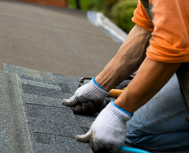 Gutter Installation and Roofing in Ponderosa Park, CO